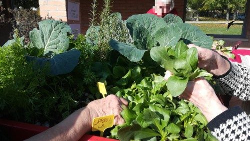 2024.02.12 Storia Laudato si' - Giardini Terapeutici