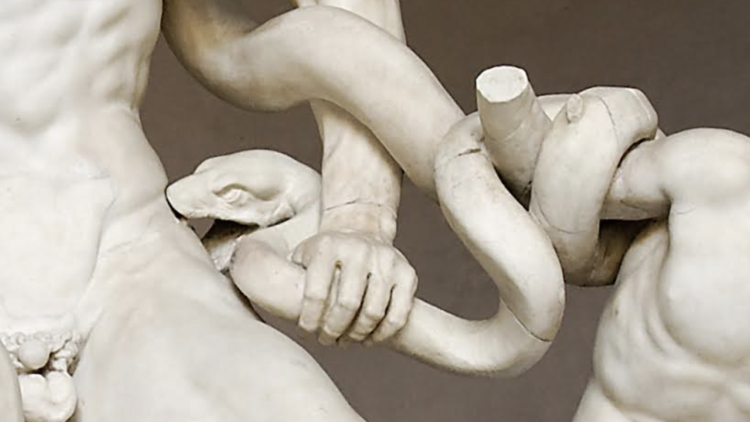 Il Laocoonte - © Musei Vaticani